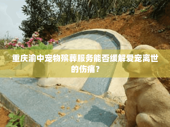 重庆渝中宠物殡葬服务能否缓解爱宠离世的伤痛？