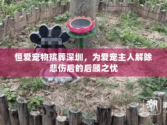恒爱宠物殡葬深圳，为爱宠主人解除悲伤后的后顾之忧