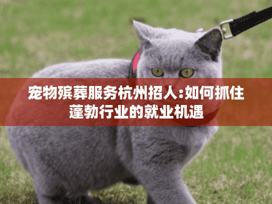 宠物殡葬服务杭州招人:如何抓住蓬勃行业的就业机遇