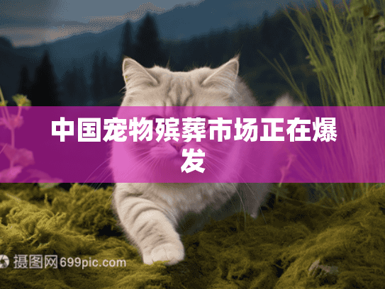 中国宠物殡葬市场正在爆发