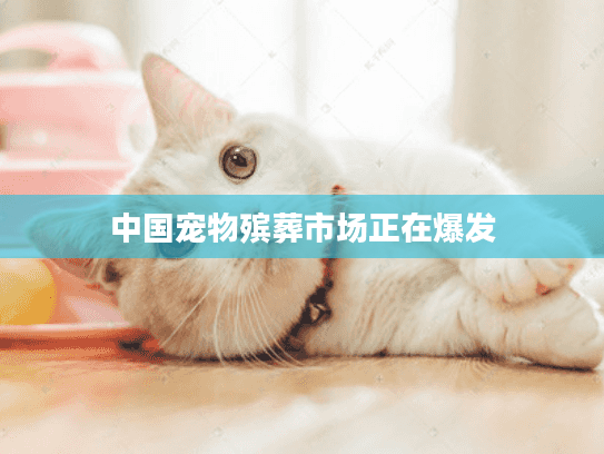 中国宠物殡葬市场正在爆发