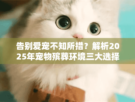 告别爱宠不知所措？解析2025年宠物殡葬环境三大选择困境