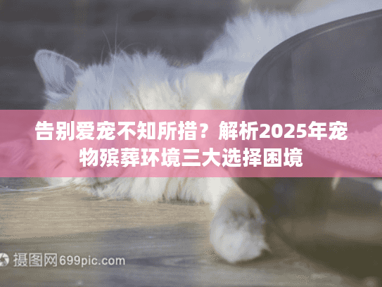 告别爱宠不知所措？解析2025年宠物殡葬环境三大选择困境
