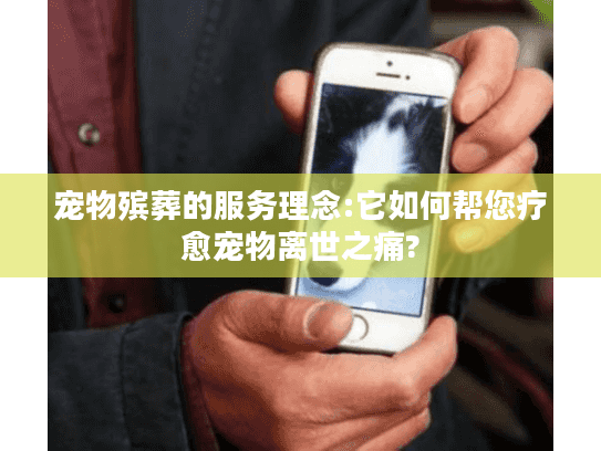 宠物殡葬的服务理念:它如何帮您疗愈宠物离世之痛?