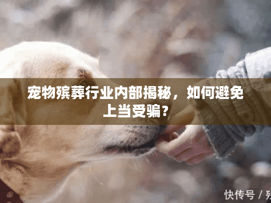 宠物殡葬行业内部揭秘，如何避免上当受骗？