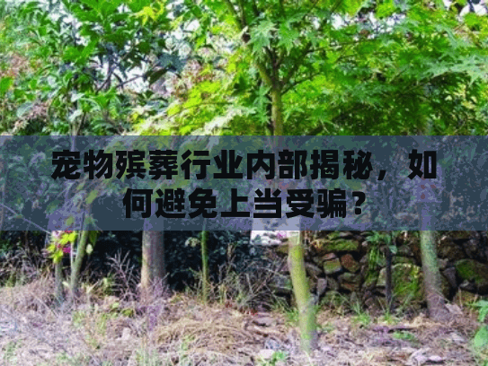 宠物殡葬行业内部揭秘，如何避免上当受骗？
