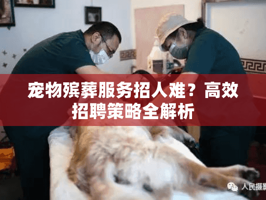 宠物殡葬服务招人难？高效招聘策略全解析