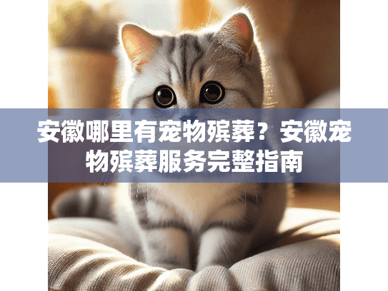 安徽哪里有宠物殡葬？安徽宠物殡葬服务完整指南