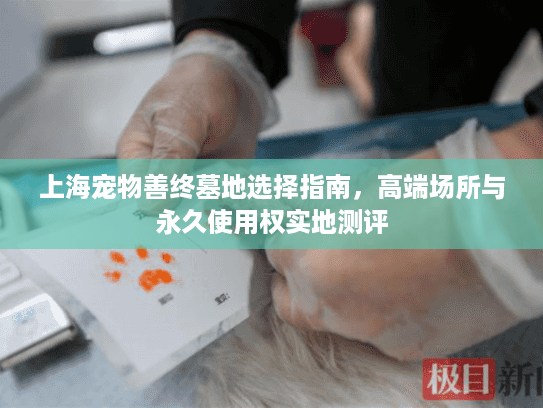 上海宠物善终墓地选择指南，高端场所与永久使用权实地测评