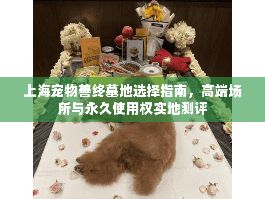上海宠物善终墓地选择指南，高端场所与永久使用权实地测评