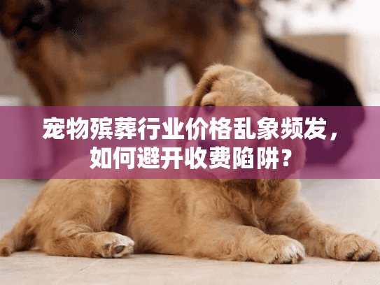 宠物殡葬行业价格乱象频发，如何避开收费陷阱？