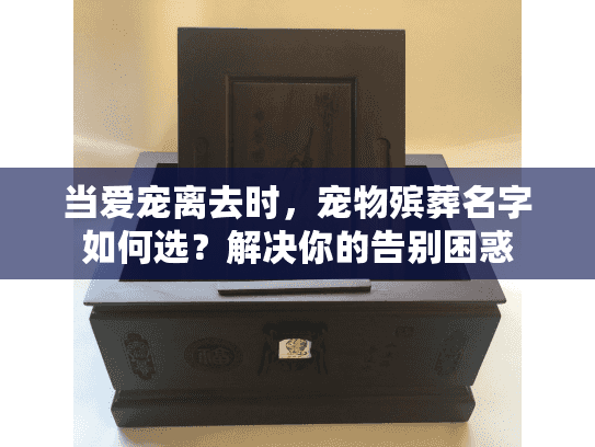 当爱宠离去时，宠物殡葬名字如何选？解决你的告别困惑