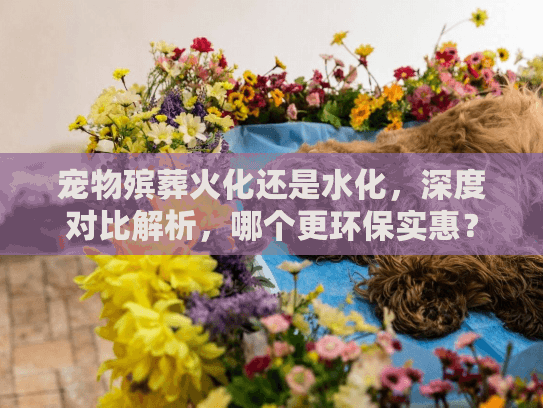 宠物殡葬火化还是水化，深度对比解析，哪个更环保实惠？