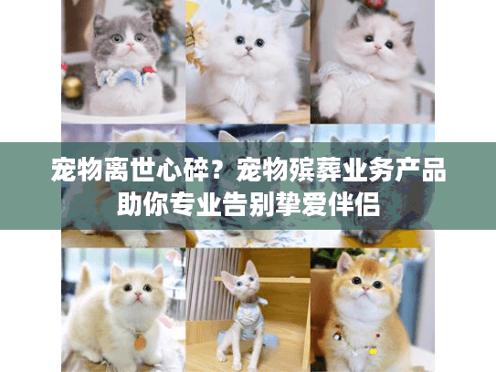 宠物离世心碎？宠物殡葬业务产品助你专业告别挚爱伴侣