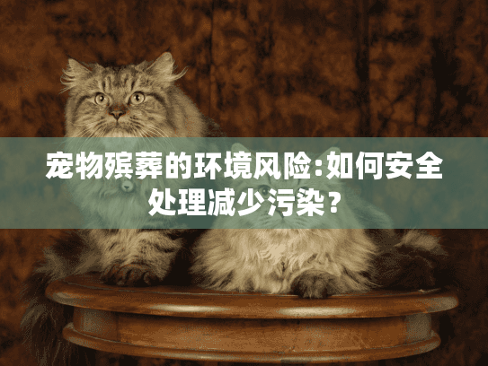 宠物殡葬的环境风险:如何安全处理减少污染？