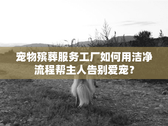 宠物殡葬服务工厂如何用洁净流程帮主人告别爱宠？
