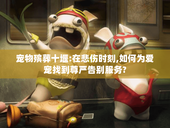宠物殡葬十堰:在悲伤时刻,如何为爱宠找到尊严告别服务?
