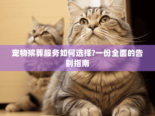 宠物殡葬服务如何选择?一份全面的告别指南