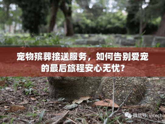 宠物殡葬接送服务，如何告别爱宠的最后旅程安心无忧？