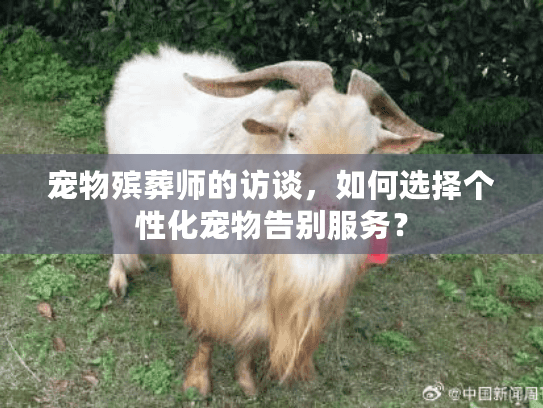 宠物殡葬师的访谈，如何选择个性化宠物告别服务？