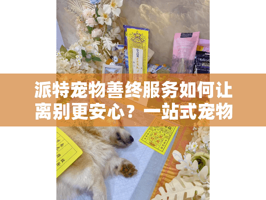 派特宠物善终服务如何让离别更安心？一站式宠物殡葬指南