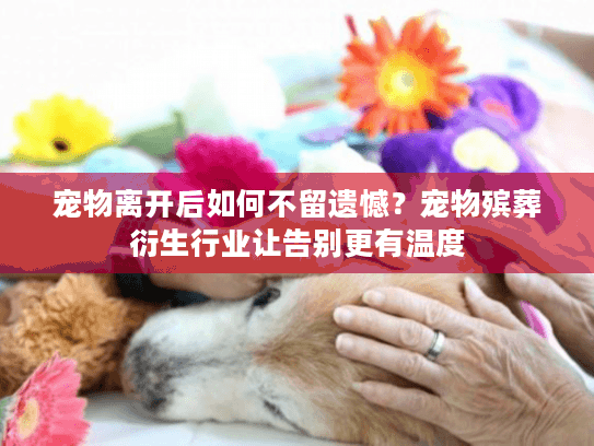 宠物离开后如何不留遗憾？宠物殡葬衍生行业让告别更有温度