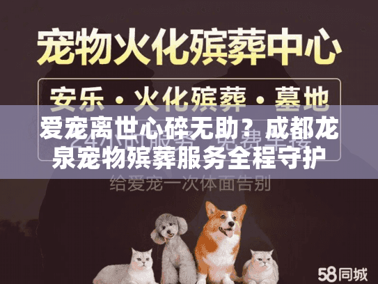 爱宠离世心碎无助？成都龙泉宠物殡葬服务全程守护