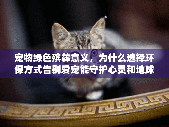 宠物绿色殡葬意义，为什么选择环保方式告别爱宠能守护心灵和地球？