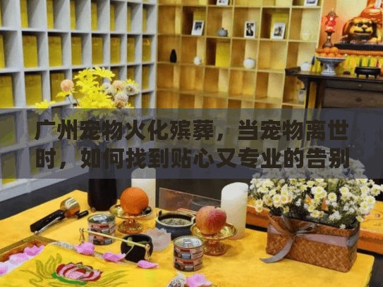 广州宠物火化殡葬，当宠物离世时，如何找到贴心又专业的告别服务？