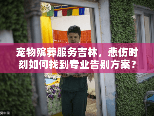 宠物殡葬服务吉林，悲伤时刻如何找到专业告别方案？