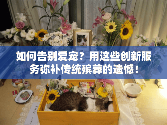 如何告别爱宠？用这些创新服务弥补传统殡葬的遗憾！