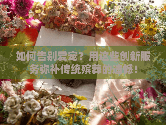 如何告别爱宠？用这些创新服务弥补传统殡葬的遗憾！