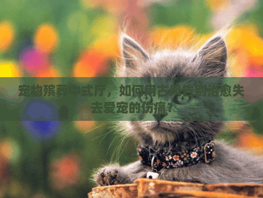宠物殡葬中式厅，如何用古风告别治愈失去爱宠的伤痛？