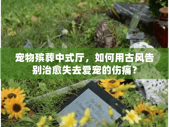 宠物殡葬中式厅，如何用古风告别治愈失去爱宠的伤痛？