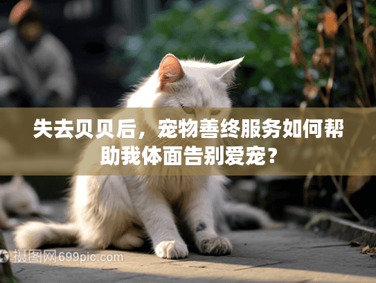失去贝贝后，宠物善终服务如何帮助我体面告别爱宠？