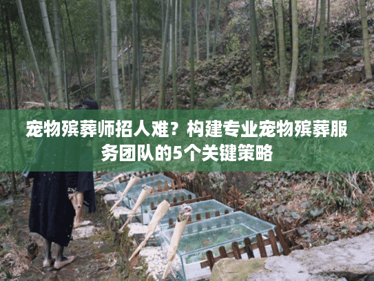 宠物殡葬师招人难？构建专业宠物殡葬服务团队的5个关键策略