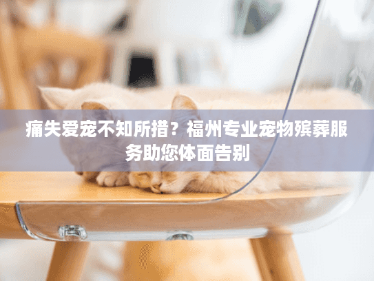 痛失爱宠不知所措？福州专业宠物殡葬服务助您体面告别