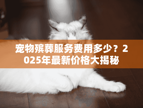 宠物殡葬服务费用多少？2025年最新价格大揭秘
