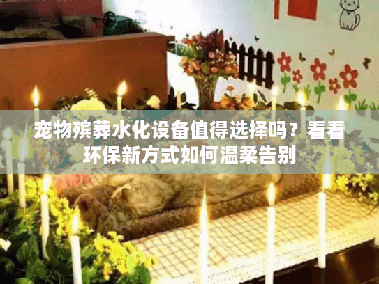 宠物殡葬水化设备值得选择吗？看看环保新方式如何温柔告别
