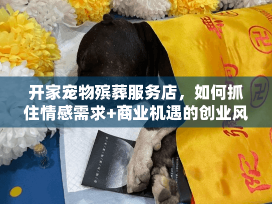 开家宠物殡葬服务店，如何抓住情感需求+商业机遇的创业风口