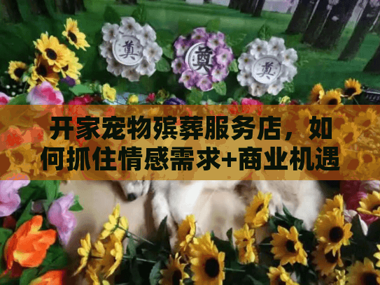 开家宠物殡葬服务店，如何抓住情感需求+商业机遇的创业风口
