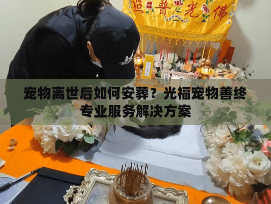 宠物离世后如何安葬？光福宠物善终专业服务解决方案