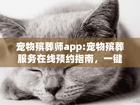 宠物殡葬师app:宠物殡葬服务在线预约指南，一键告别心碎时刻