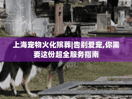 上海宠物火化殡葬|告别爱宠,你需要这份超全服务指南