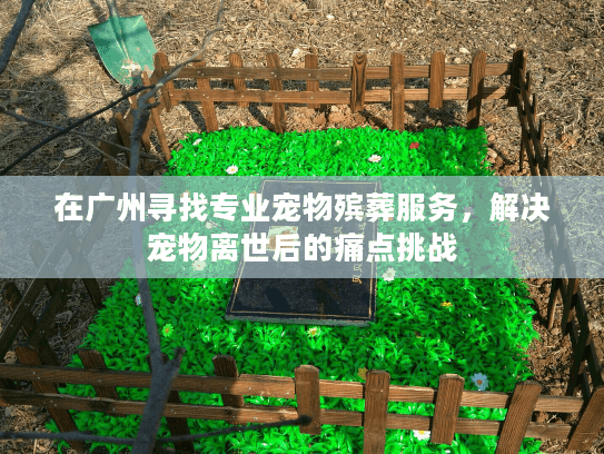 在广州寻找专业宠物殡葬服务，解决宠物离世后的痛点挑战