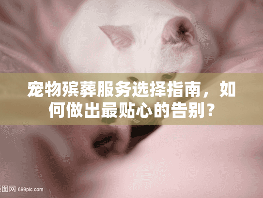 宠物殡葬服务选择指南，如何做出最贴心的告别？