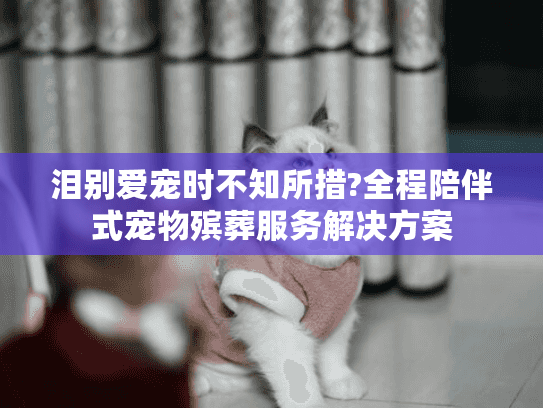 泪别爱宠时不知所措?全程陪伴式宠物殡葬服务解决方案