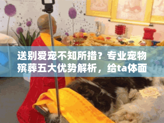 送别爱宠不知所措？专业宠物殡葬五大优势解析，给ta体面告别