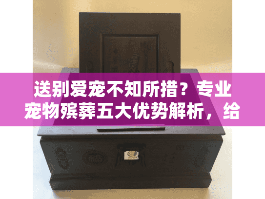 送别爱宠不知所措？专业宠物殡葬五大优势解析，给ta体面告别