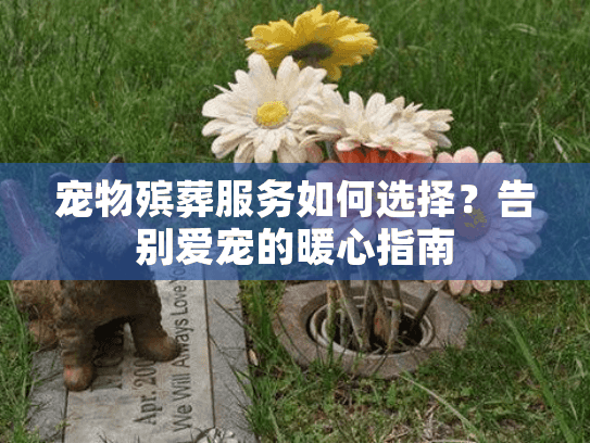 宠物殡葬服务如何选择？告别爱宠的暖心指南